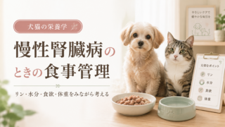 慢性腎臓病のときの食事管理