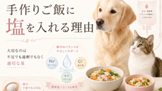 【犬猫の手作りご飯に塩を入れる理由】