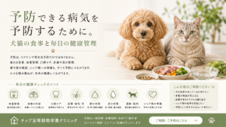 【予防できる病気を予防するために。犬猫の食事と毎日の健康管理】