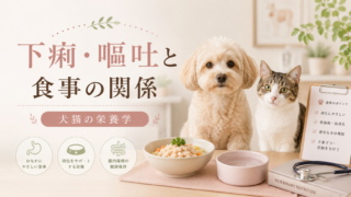 【下痢・嘔吐と食事の関係】