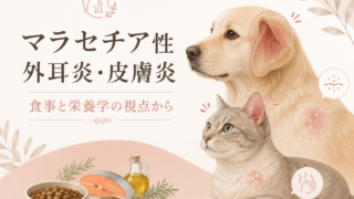 【マラセチア性外耳炎・皮膚炎と食事の関係】