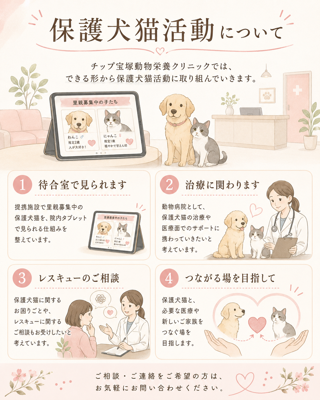 保護犬猫活動のご案内