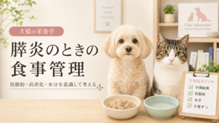 膵炎のときの食事管理