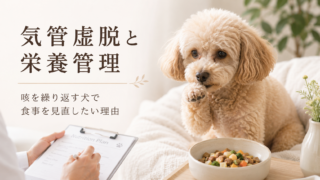 【気管虚脱と栄養管理。咳を繰り返す犬で食事を見直したい理由】