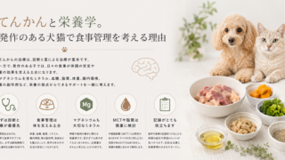 てんかんと栄養学。発作のある犬猫で食事管理を考える理由