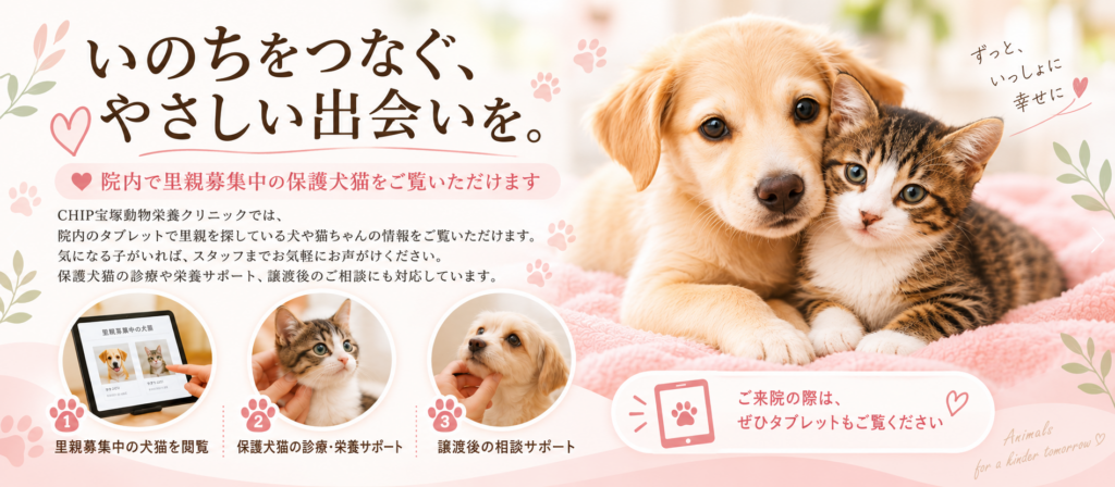 チップ宝塚動物栄養クリニック 保護犬猫活動 つながるカフェ