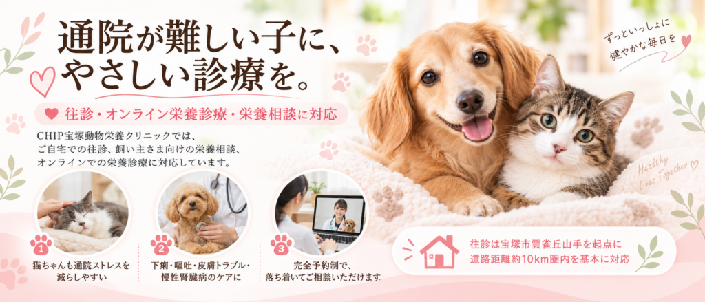 チップ宝塚動物栄養クリニック 往診・栄養診療